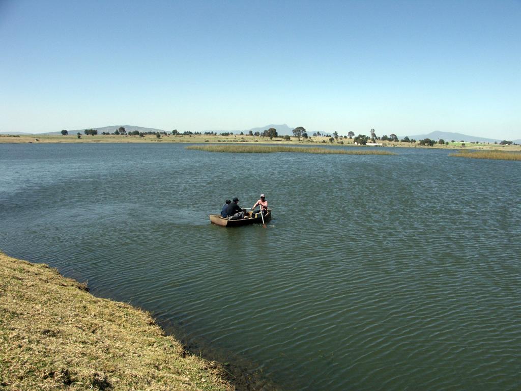 100302_Zacatec 088.jpg
